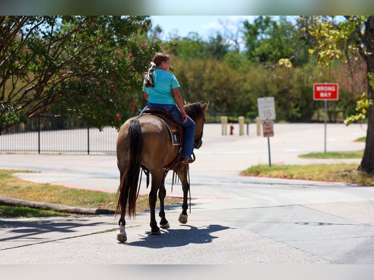 American Quarter Horse Merrie 6 Jaar Grullo in Terrell