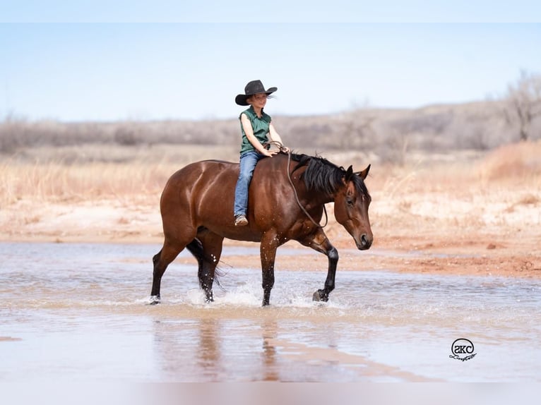American Quarter Horse Merrie 6 Jaar Roodbruin in Canyon, TX