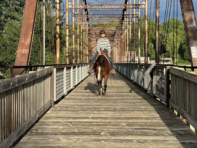 American Quarter Horse Merrie 7 Jaar 142 cm Roodbruin in Lisbon IA