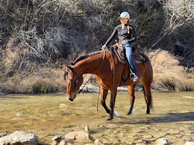 American Quarter Horse Merrie 7 Jaar 147 cm Roodbruin in Cleburne