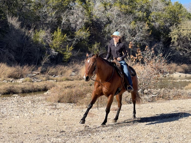 American Quarter Horse Merrie 7 Jaar 147 cm Roodbruin in Cleburne