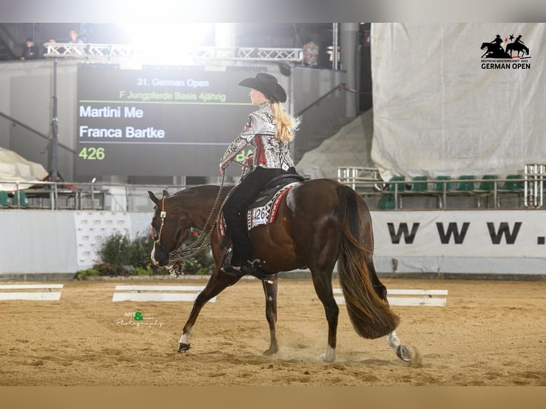 American Quarter Horse Merrie 7 Jaar 160 cm Donkere-vos in Winterbach