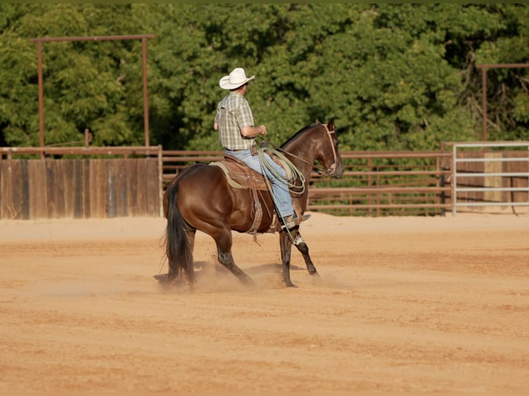 American Quarter Horse Merrie 7 Jaar Roodbruin in Weatherford
