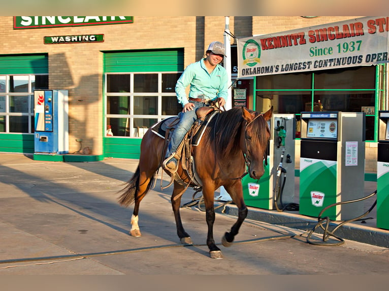 American Quarter Horse Merrie 7 Jaar Roodbruin in PERRY, OK