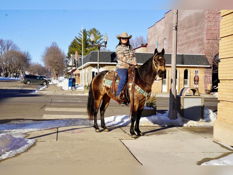 American Quarter Horse Merrie 8 Jaar 152 cm Buckskin in Valley Springs, SD