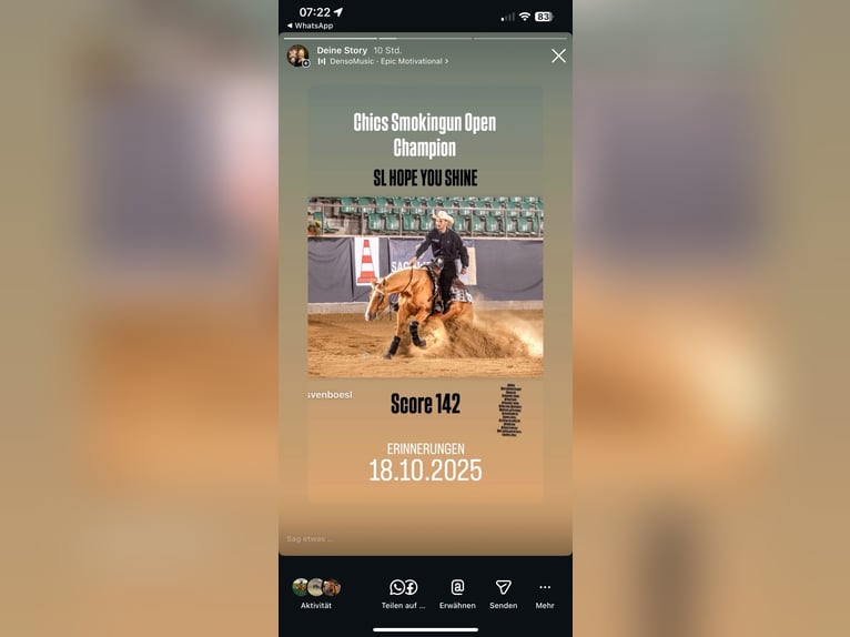 American Quarter Horse Merrie 8 Jaar 160 cm Palomino in Haag in Oberbayern