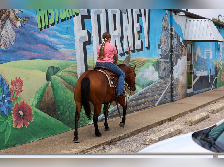 American Quarter Horse Merrie 9 Jaar 142 cm Roodbruin in Forney