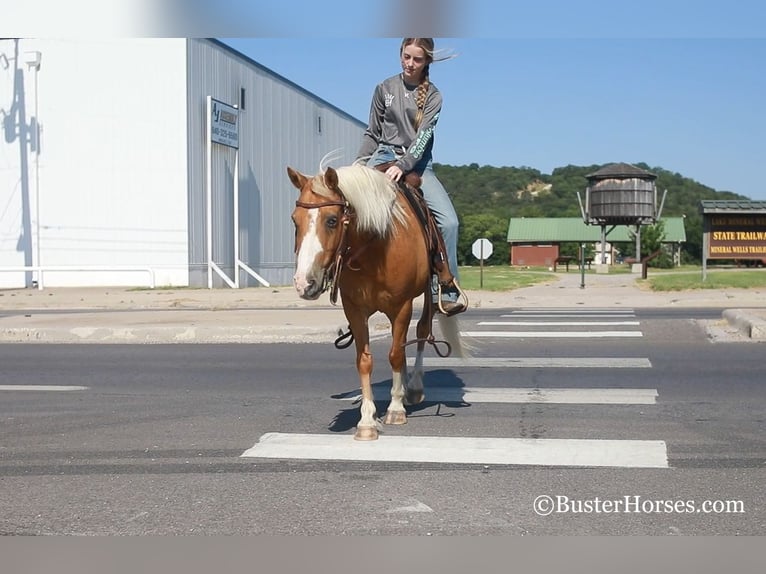 American Quarter Horse Ruin 10 Jaar 124 cm Palomino in Weatherford TX