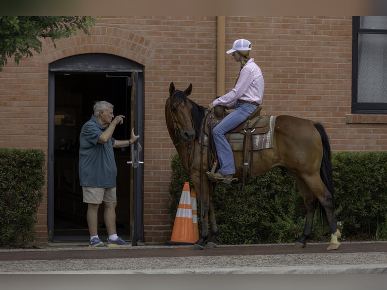 American Quarter Horse Ruin 10 Jaar 147 cm Roodbruin in Weatherford, TX