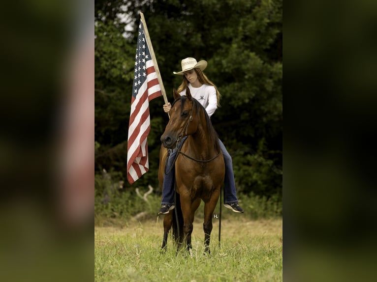 American Quarter Horse Ruin 10 Jaar 147 cm Roodbruin in Weatherford, TX