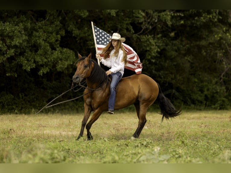 American Quarter Horse Ruin 10 Jaar 147 cm Roodbruin in Weatherford, TX