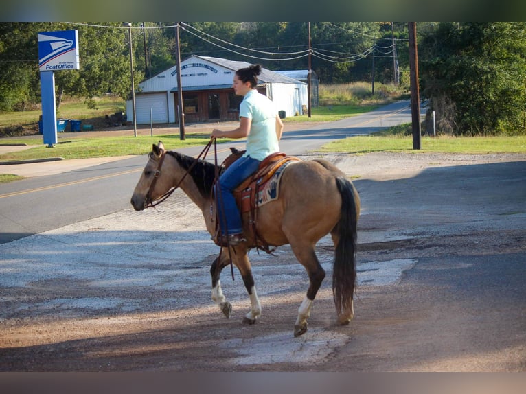 American Quarter Horse Ruin 10 Jaar 150 cm Buckskin in Rusk TX