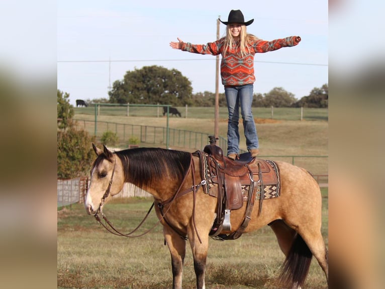 American Quarter Horse Ruin 10 Jaar 152 cm Buckskin in Joshua TX