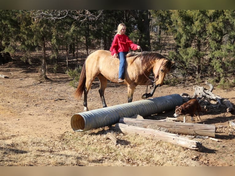 American Quarter Horse Ruin 10 Jaar 152 cm Buckskin in Joshua, TX
