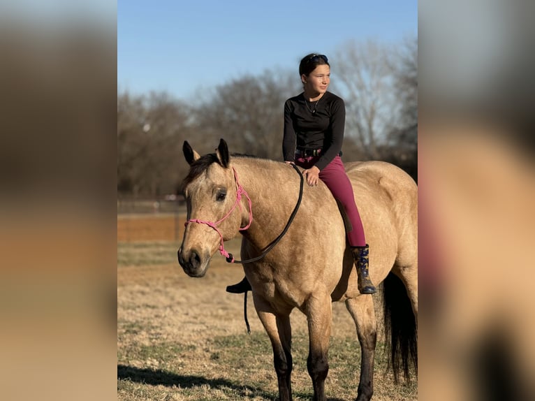 American Quarter Horse Ruin 10 Jaar 160 cm Buckskin in Cleburne