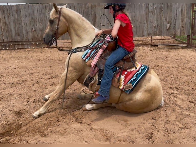 American Quarter Horse Ruin 10 Jaar Palomino in Weatherford
