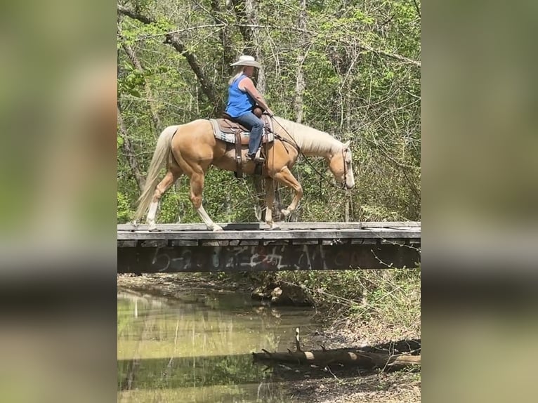 American Quarter Horse Ruin 10 Jaar Palomino in Henderson