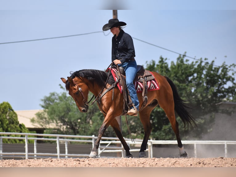 American Quarter Horse Ruin 10 Jaar Roodbruin in Amarillo