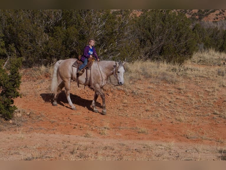 American Quarter Horse Ruin 10 Jaar Schimmel in Canyon, TX