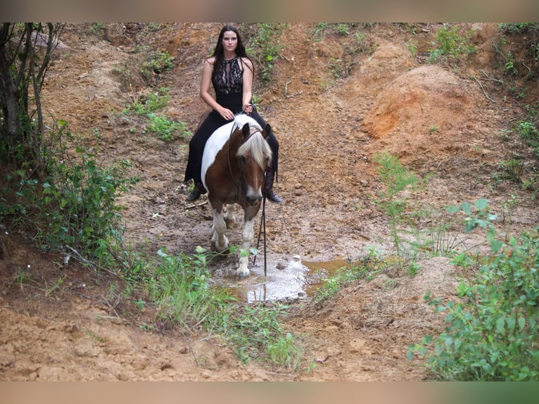 American Quarter Horse Ruin 11 Jaar 147 cm Donkere-vos in Rusk TX