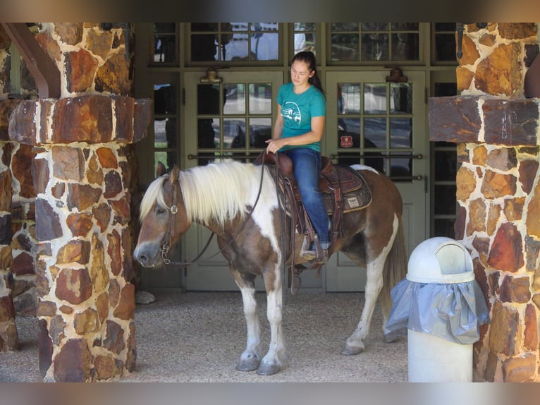 American Quarter Horse Ruin 11 Jaar 147 cm Donkere-vos in Rusk TX