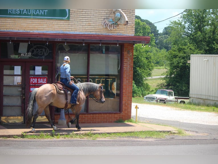 American Quarter Horse Ruin 11 Jaar 152 cm Falbe in Rusk TX