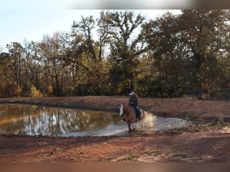 American Quarter Horse Ruin 11 Jaar 152 cm Palomino in Grand Saline TX