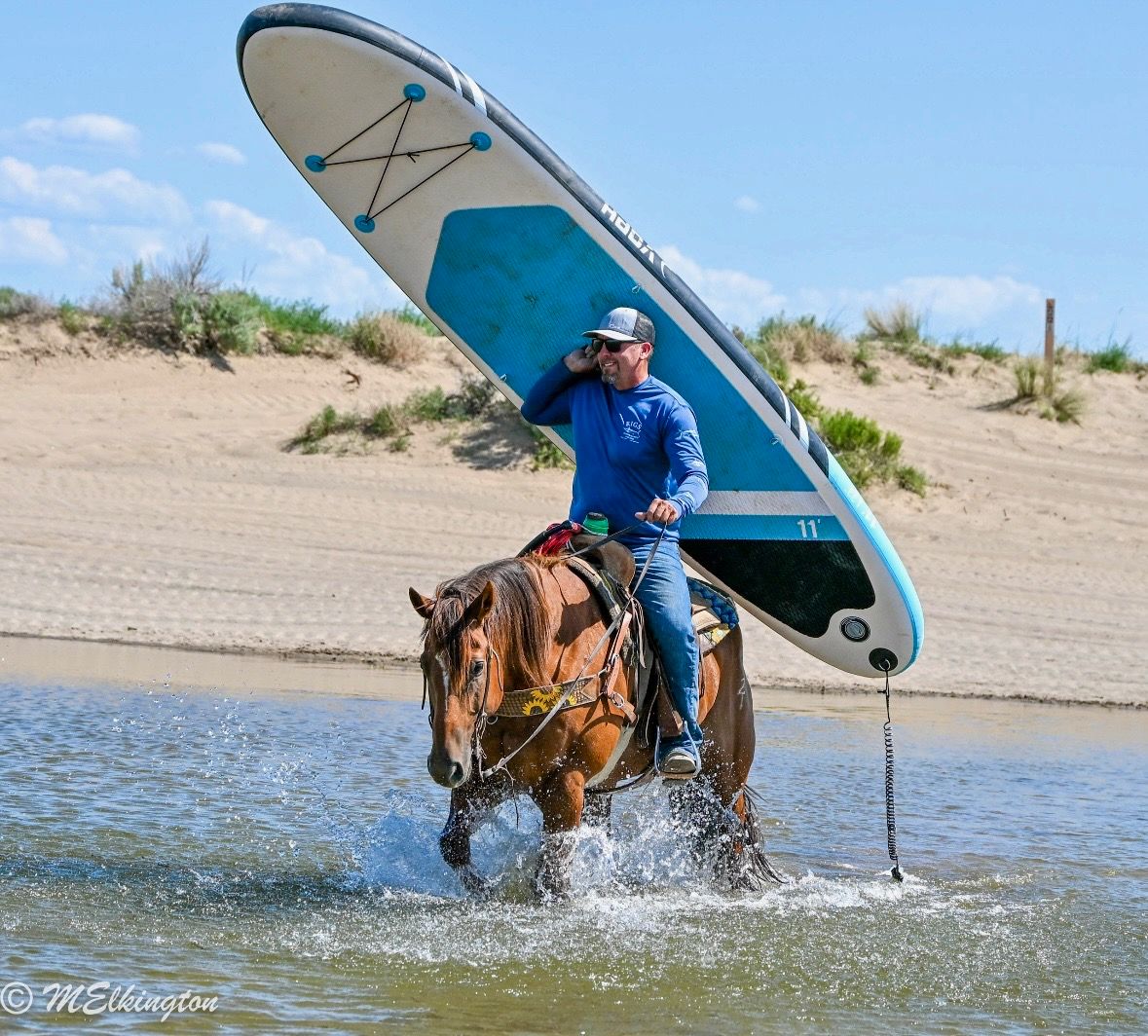 American Quarter Horse Ruin 11 Jaar 157 cm Roodvos in Rigby, ID