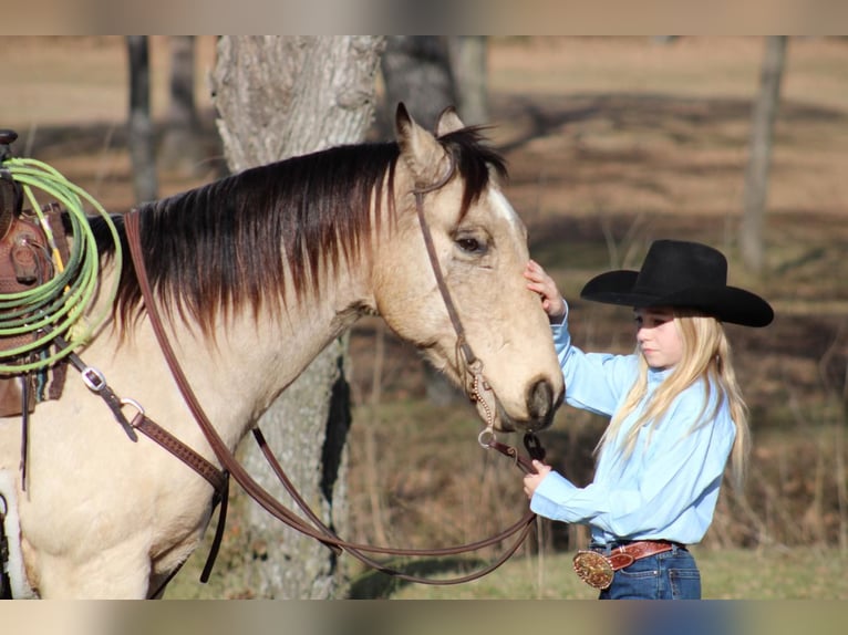 American Quarter Horse Mix Ruin 11 Jaar Buckskin in Joshua, TX