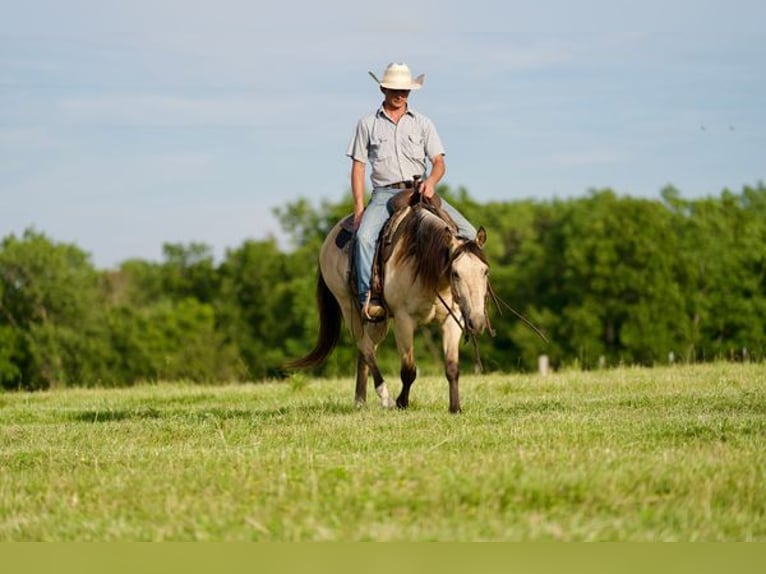 American Quarter Horse Ruin 12 Jaar 150 cm Buckskin in canyon, tx