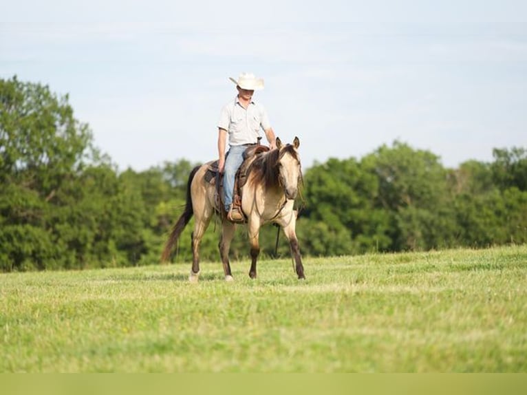 American Quarter Horse Ruin 12 Jaar 150 cm Buckskin in canyon, tx