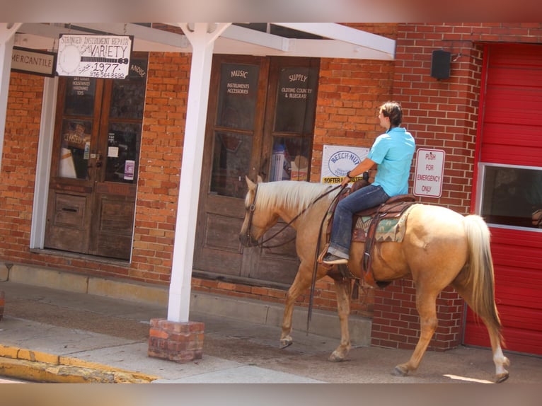 American Quarter Horse Ruin 12 Jaar 155 cm Palomino in Rusk TX