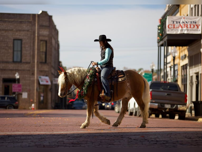 American Quarter Horse Ruin 12 Jaar Roodvos in Rusk TX