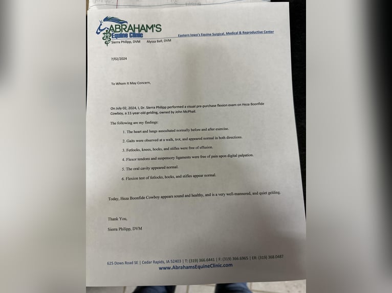 American Quarter Horse Ruin 13 Jaar 155 cm Zwart in Lisbon IA