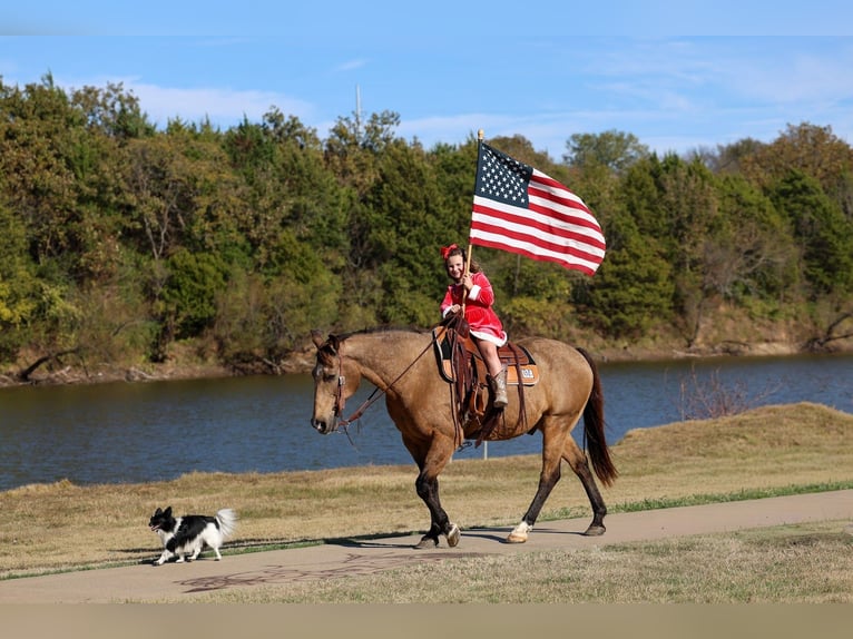 American Quarter Horse Ruin 14 Jaar 155 cm Buckskin in Forney