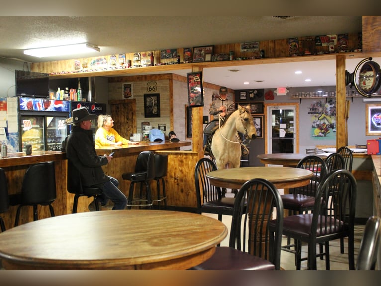 American Quarter Horse Ruin 15 Jaar 150 cm Buckskin in Oskaloosa, IA