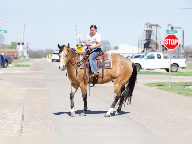 American Quarter Horse Ruin 15 Jaar 152 cm Buckskin in Forney