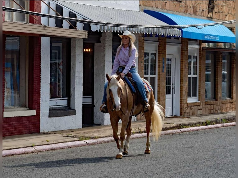 American Quarter Horse Ruin 15 Jaar 155 cm Palomino in Quitman AR