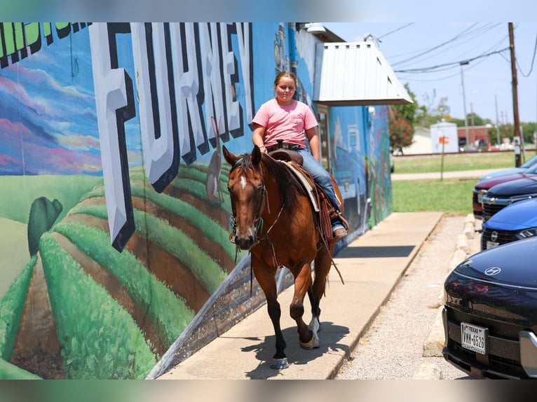 American Quarter Horse Ruin 16 Jaar Roodbruin in Terrell