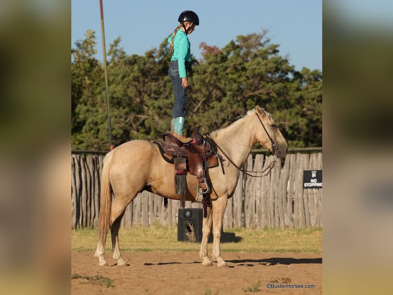 American Quarter Horse Ruin 17 Jaar 147 cm Palomino in Weatherford TX