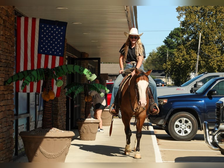 American Quarter Horse Ruin 3 Jaar Falbe in Quitman