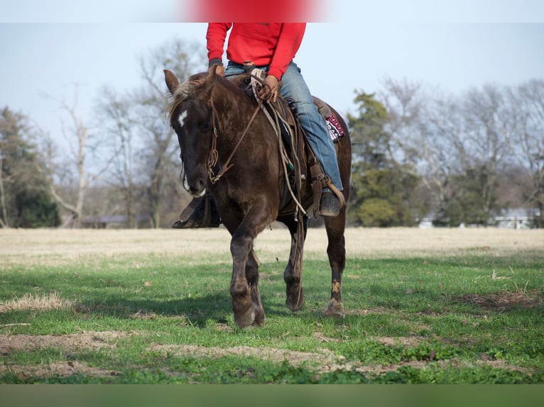 American Quarter Horse Ruin 4 Jaar 140 cm Palomino in Sulphur Springs