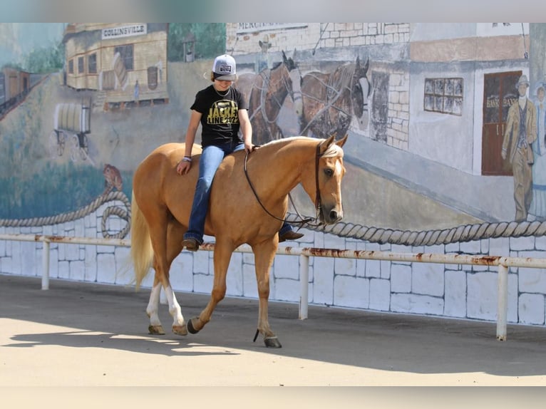 American Quarter Horse Ruin 4 Jaar 147 cm Palomino in Pilot Point