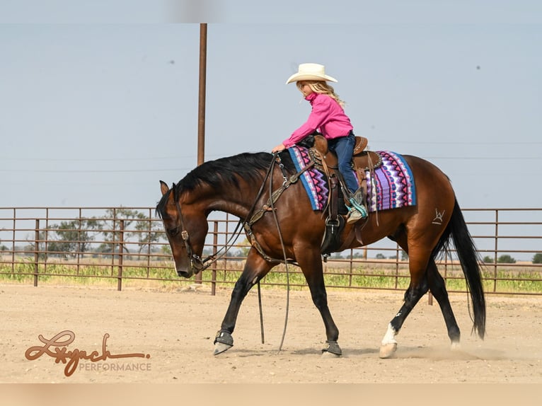 American Quarter Horse Ruin 4 Jaar 150 cm Roodbruin in Canistota, SD