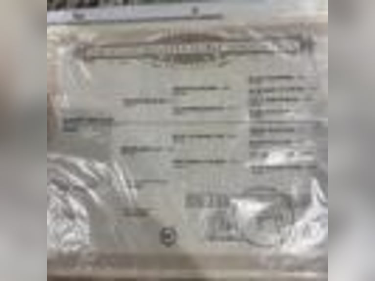 American Quarter Horse Ruin 5 Jaar 147 cm Roan-Blue in Greenville Ky