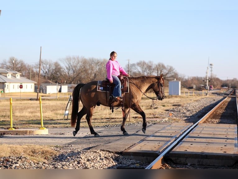 American Quarter Horse Ruin 5 Jaar 150 cm Grullo in Forney
