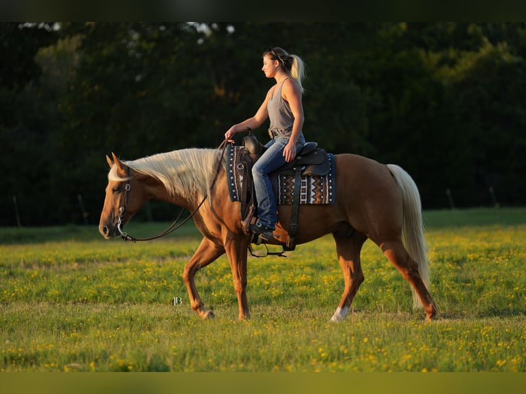 American Quarter Horse Ruin 5 Jaar 150 cm Palomino in Terrell