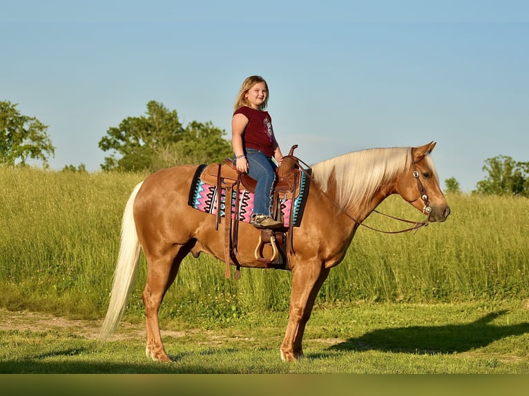 American Quarter Horse Ruin 5 Jaar 155 cm Palomino in Crab Orchard, KY