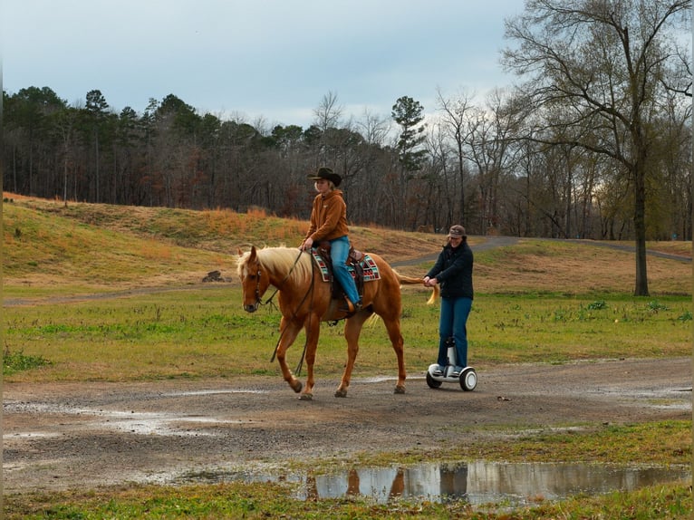 American Quarter Horse Ruin 5 Jaar 157 cm Palomino in Quitman