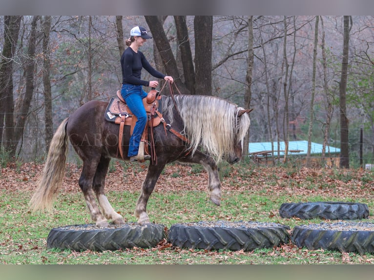 American Quarter Horse Mix Ruin 5 Jaar 160 cm Palomino in Clover, SC